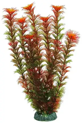 Акваріумна рослина Aquatic Plants, 29 см х 6 шт / уп (2955)