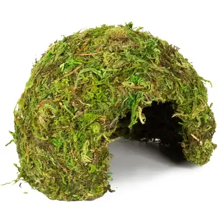 Схованка з моху Repti-Zoo Natural Mossy Dome S 11x10см (ERS25S): додаткове фото 4