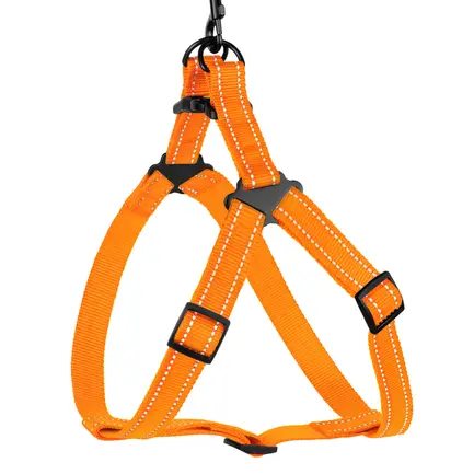 Шлея для Собак BronzeDog Active Нейлонова зі Світловідбиттям Помаранчева L: додаткове фото 3
