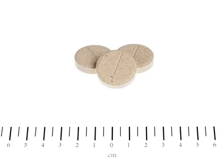Вітаміни Canina Biotin Forte Tabletten для собак, інтенсивний курс для шерсті, 2000 г (600 табл): додаткове фото 2