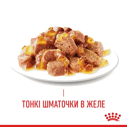 Вологий корм Royal Canin HAIR&SKIN CARE IN JELLY для котів всіх порід 85 г: додаткове фото 5