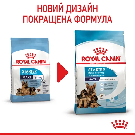 Сухий корм Royal Canin MAXI STARTER для дорослих собак великих порід 4 кг: додаткове фото 2