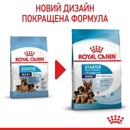 Сухий корм Royal Canin MAXI STARTER для дорослих собак великих порід 4 кг — Фото 1