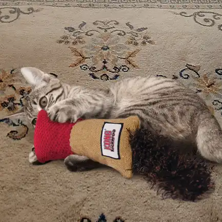 Іграшка KONG Kickeroo Cuddler для котів із візерунком обійми: додаткове фото 5