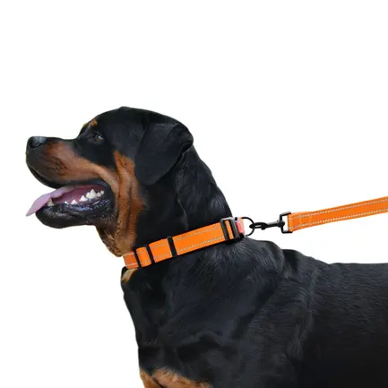 Нашийник для Собак BronzeDog Active Нейлоновий зі Світловідбиттям та Пластиковою Пряжкою Помаранчевий XL: додаткове фото 8