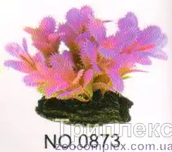 Aquatic Plants (Акватик Плэнтс) Акваріумна рослина, 8 см х 10 шт/уп.