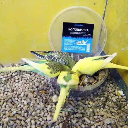Копошилка для всіх видів папуг та декоративних птахів Zelena Zoo, 100 г: додаткове фото 2