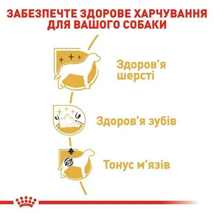 Royal Canin Poodle Adult - Вологий корм для дорослих собак породи Пудель 85 г: додаткове фото 3