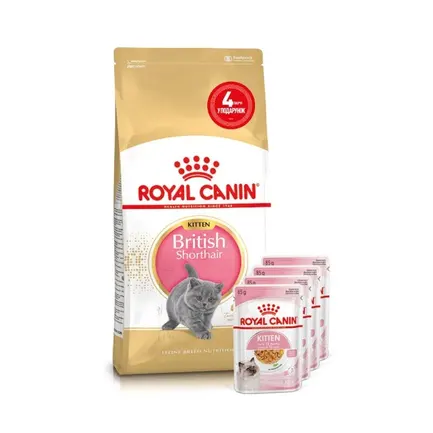 Сухий корм Royal Canin KITTEN BRITISH SHORTHAIR для породи кошенят Британська короткошерста кішка 2 кг + 4 WET KITTEN INSTINCTIVE IN JELLY 85г