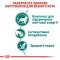 Вологий корм Royal Canin INSTINCTIVE+7 для котів всіх порід 85 г — Фото 7