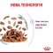 Вологий корм Royal Canin SENSORY FEEL GRAVY для котів всіх порід 85 г — Фото 6