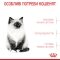 Сухий корм Royal Canin KITTEN для кошенят всіх порід 8кг+2кг — Фото 12