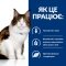 Hill&#039;s Prescription Diet w/d Сухий корм для котів при цукровому діабеті, з куркою, 3 кг — Фото 12
