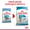 Сухий корм Royal Canin MINI STARTER для дорослих собак малих порід 1 кг — Фото 12