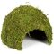 Схованка з моху Repti-Zoo Natural Mossy Dome L 22x17 (ERS25L) — Фото 9