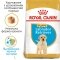 Сухий корм Royal Canin LABRADOR PUPPY для цуценят породи Лабрадор 12 кг — Фото 5