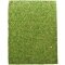 Фон моховий Repti-Zoo Natural Moss Back &amp; Bottom 50x25см 2шт. (NCM5025) — Фото 6