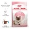 Сухий корм Royal Canin MOTHER&amp;BABYCAT для кошенят всіх порід 8 кг +2 кг — Фото 11