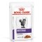 Дієтичний вологий корм Royal Canin NEUTERED BALANCE CAT (шматочки у соусі) для котів 85 г — Фото 2