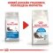 Сухий корм Royal Canin INDOOR LONGHAIR для котів всіх порід 2 кг — Фото 8