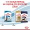 Сухий корм Royal Canin MAXI PUPPY для цуценят великих порід 1 кг — Фото 11