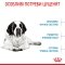 Сухий корм Royal Canin GIANT JUNIOR для дорослих собак гігантських порід 15 кг — Фото 10