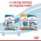 Сухий корм Royal Canin MEDIUM STARTER для дорослих собак середніх порід 1 кг — Фото 14