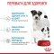 Сухий корм Royal Canin MINI STARTER для дорослих собак малих порід 1 кг — Фото 14