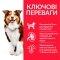 Hill’s Science Plan Mature Adult 7+ Medium Breed Сухий корм для зрілих собак середніх порід від 7 років, з куркою, 14 кг — Фото 5