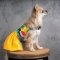 Сукня Pet Fashion «Sun» для собак, розмір M, жовта — Фото 10