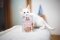 Вологий корм Brit Care Cat Pouch для котів, філе в соусі, ніжна індичка і пікантний лосось, 85 г — Фото 7
