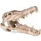 Декорація череп крокодила Terrario Crocodile Skull XL 23x11x16см (251115) — Фото 6