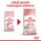 Сухий корм Royal Canin KITTEN для кошенят всіх порід 8кг+2кг — Фото 10