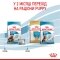 Сухий корм Royal Canin MAXI STARTER для дорослих собак великих порід 4 кг — Фото 15