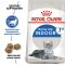 Сухий корм Royal Canin INDOOR 7+ для Кіт 3,5 кг — Фото 5