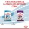 Сухий корм Royal Canin GIANT JUNIOR для дорослих собак гігантських порід 15 кг — Фото 12