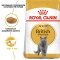 Сухий корм Royal Canin BRITISH SHORTHAIR ADULT для котів породи Британська короткошерста кішка 4 кг — Фото 5