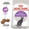 Сухий корм Royal Canin STERILISED для котів всіх порід 4 кг — Фото 6