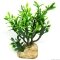 Штучна рослина кактус Hobby Euphorbia M 15x7x17см (36999) — Фото 3