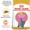 Сухий корм Royal Canin KITTEN BRITISH SHORTHAIR для породи кошенят Британська короткошерста кішка 8кг + 2кг — Фото 4