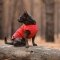 Жилет Pet Fashion «E.Vest» для собак, розмір XS, червоний — Фото 9