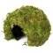 Схованка з моху Repti-Zoo Natural Mossy Dome S 11x10см (ERS25S) — Фото 7