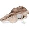 Декорація череп буйвола Terrario Buffalo Skull 21x12x8см (22128) — Фото 13