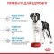 Сухий корм Royal Canin GIANT JUNIOR для дорослих собак гігантських порід 15 кг — Фото 11