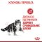 Сухий корм Royal Canin URINARY CARE для котів всіх порід 8кг +2 кг — Фото 11