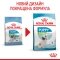 Сухий корм Royal Canin XSMALL PUPPY для цуценят мініатюрних порід 3 кг — Фото 10