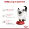 Вологий корм Royal Canin KITTEN INSTINCTIVE IN GRAVY для кошенят всіх порід 85 г — Фото 9