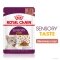 Вологий корм Royal Canin SENSORY TASTE GRAVY для котів всіх порід 85 г — Фото 9