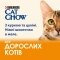 Вологий корм CAT CHOW Adult для дорослих котів шматочки в желе з куркою та цукіні 85 г — Фото 13