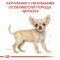 Сухий корм Royal Canin CHIHUAHUA PUPPY для цуценят породи Чихуахуа 0,5 кг — Фото 6